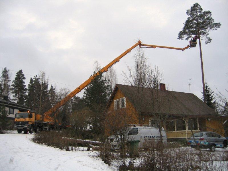 IMG 0741